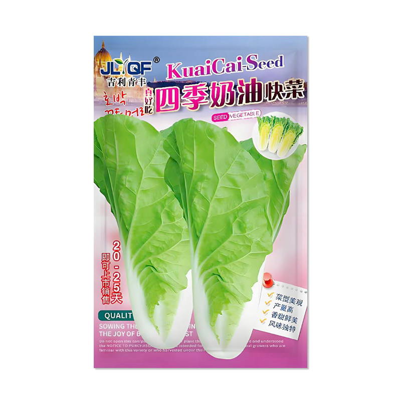 四季奶油快菜种子小白菜种孑