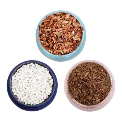 名贵植物营养土兰花草