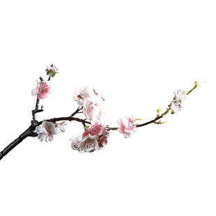 中式短枝腊梅花仿真花摆件客厅装饰花艺插花餐桌假花桃花干花绢花