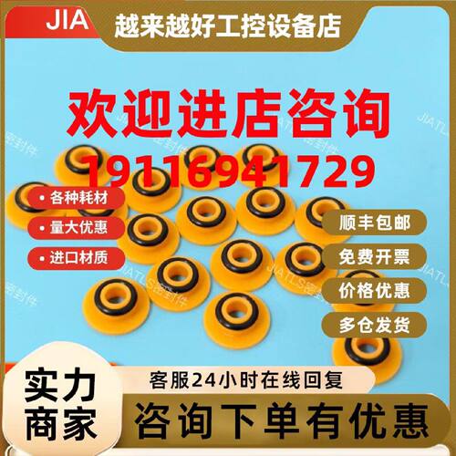 议价赛默飞离子色谱仪泵头ICS3000色谱柱塞高压密封圈055870