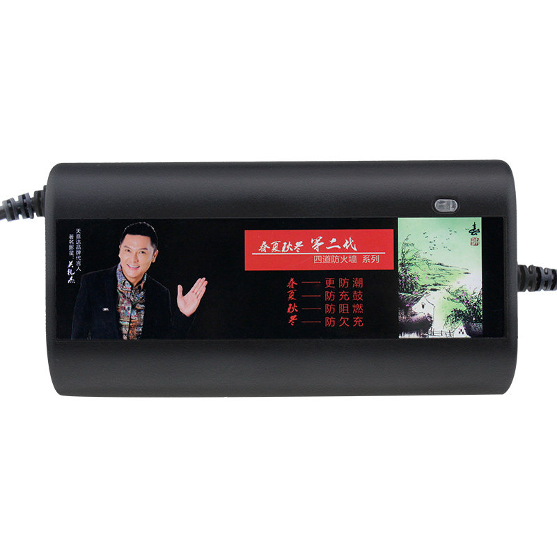 天意达电瓶车电动车充电器60v