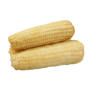 白玉米新鲜糯玉米老品种10根真空装包装袋早餐香糯甜粘黏玉米棒