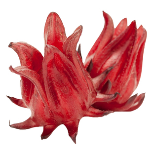 洛神花种子红桃K玫瑰茄种籽食用花茶花种孑阳台盆栽易种花卉种籽