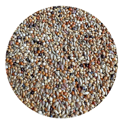 文鸟芙蓉金丝雀专用粮