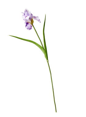假花仿真花束鸢尾花客厅插花装饰