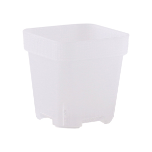 透明加厚小方盆塑料花盆多肉植物种植盆新款透气七方小花盆白托架