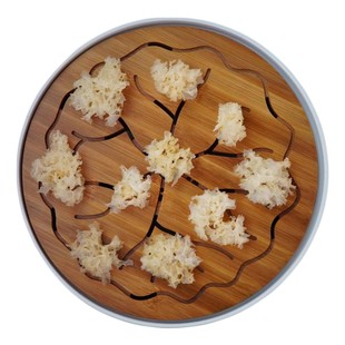 山珍椴木银耳无硫仿野生雪耳办公室孕妇儿童食养软糯耳易出胶通江