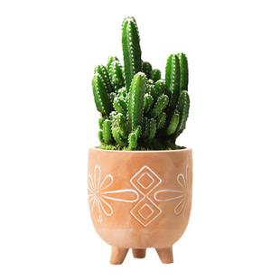 红陶仙人掌花盆陶瓷桌面万重山仙人球专用盆栽透气吸水高脚陶盆小