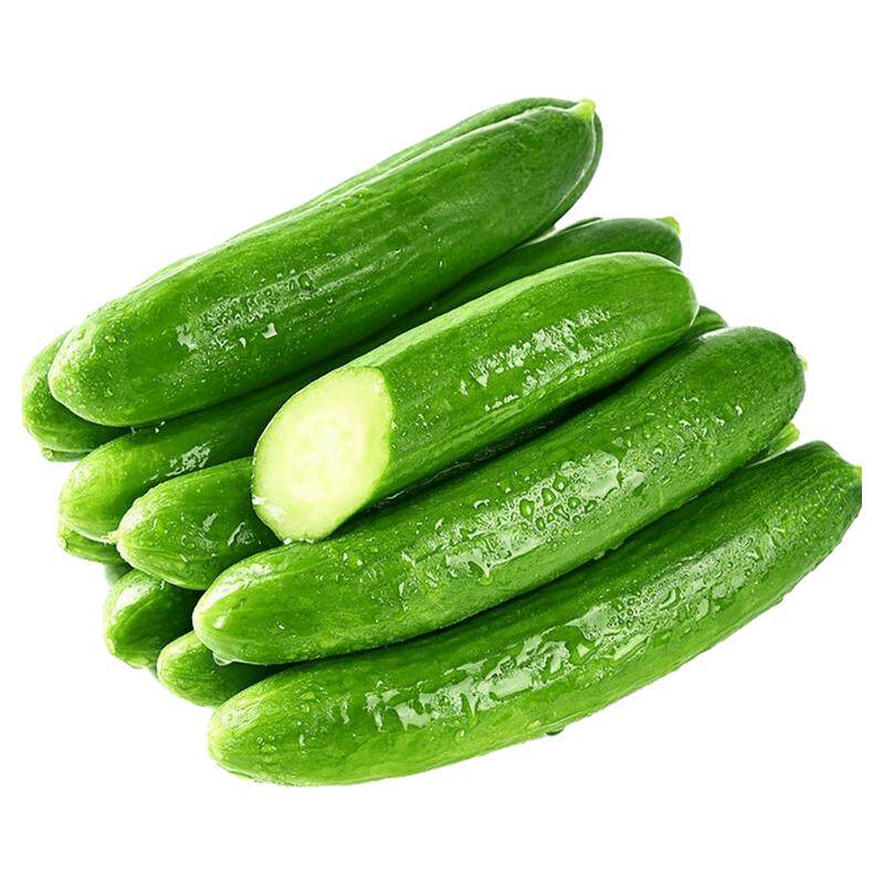 糖尿人吃的水果新鲜生吃水果小黄瓜三高糖友人孕妇抗糖专用水果食