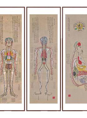 中医穴位装饰画经脉图筋脉图挂画