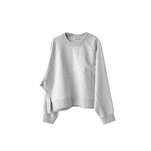 韩国女装轻熟简约圆领套头纯棉卫衣宽松慵懒百搭显瘦长袖秋冬T339