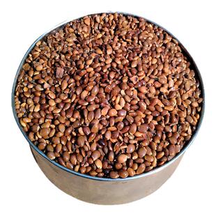 广西大红八角籽大料大茴香籽八角打粉用料干净无杂中药材非种子