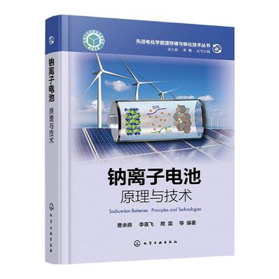 先进电化学能源存储与转化技术丛书 钠离子电池原理与技术 储钠原理 电极材料体系及电解质体系 高等院校化学物理材料等专业参考书