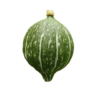 贵妃南瓜种子蔬菜种籽甜面瓜板栗四季盆栽春季夏秋冬季水果种孑