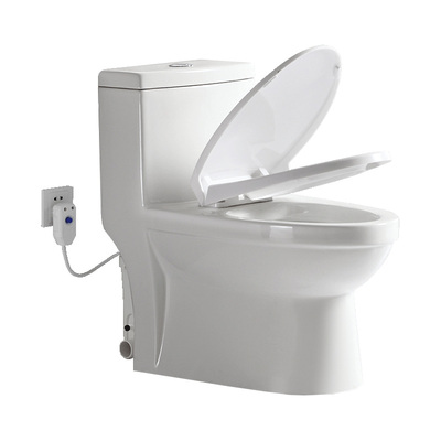 威博朗别墅地下室提升电动马桶