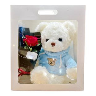 定制小熊公仔可爱泰迪熊玩偶毛绒玩具布娃娃公司活动印字logo礼品