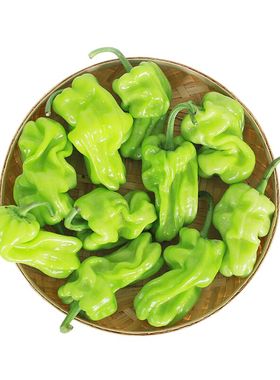 农家麻皮南方北四季辣椒种子
