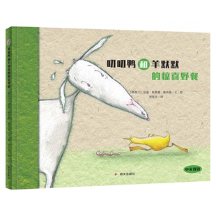 正版【中英双语绘本】漂流瓶绘本馆 叨叨鸭和羊默默的惊喜野餐 精装硬壳信谊启蒙认知早教故事书 幼儿绘本阅读 亲子3到4岁