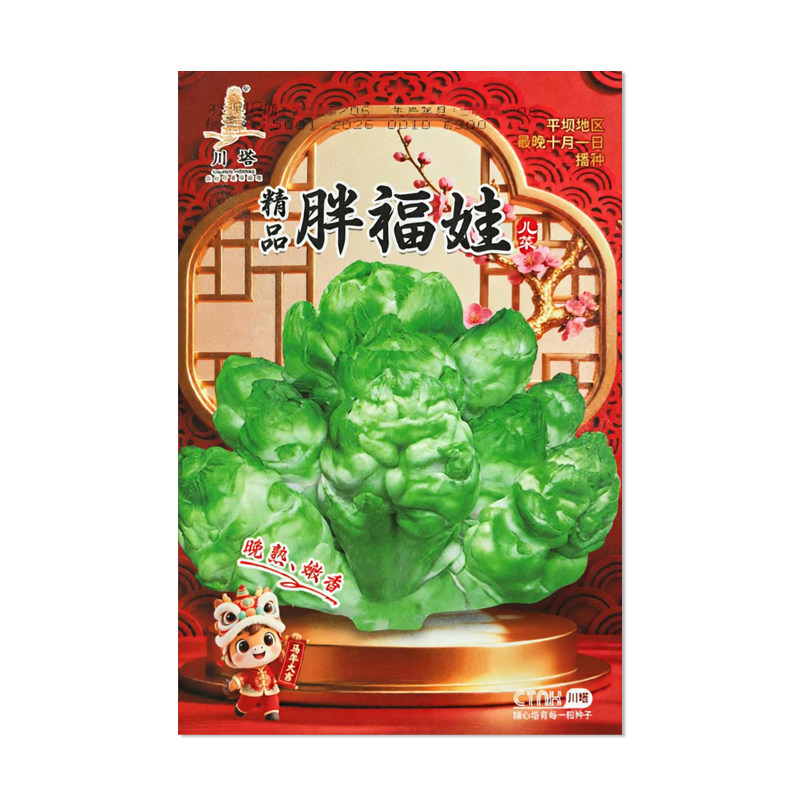 川塔精品胖福娃儿菜种子