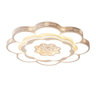 LED吸顶灯客厅灯大会堂灯办公大尺寸超大号主灯超亮网红大灯圆形