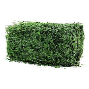大叶精品苜蓿草兔子专用干草幼兔草豚鼠粮烘干可食用草料兔粮饲料