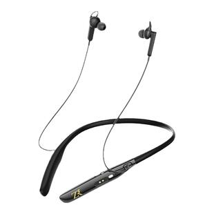 高端助听器老人专用正品老年重度耳聋耳背隐形年轻人蓝牙声音放大