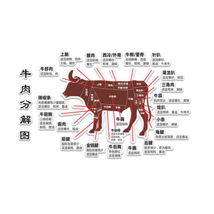 齐齐哈尔烤肉店挂画牛摊造型牛分解部位图超市海报潮汕火锅店装饰