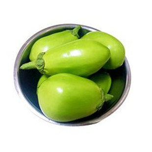 河南特产大绿茄子农家自种9斤新鲜现摘绿皮茄子生吃青茄蔬菜