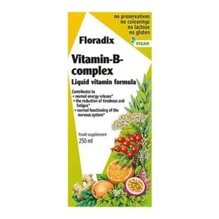 欧洲直邮英国药房Floradix铁元矿物营养液维生素B复合维他命250ml
