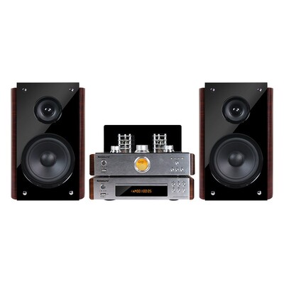 Nobsound/诺普声 TAP-525胆机DVD组合音响发烧电子管功放VCD套装