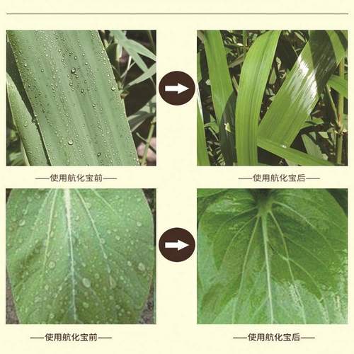 植保飞防无人机增效剂草场灭虫飞防增效助剂水稻玉米大田地抗漂移