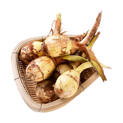 苏北蔬菜荸荠茨菇茨菰马蹄乔诚