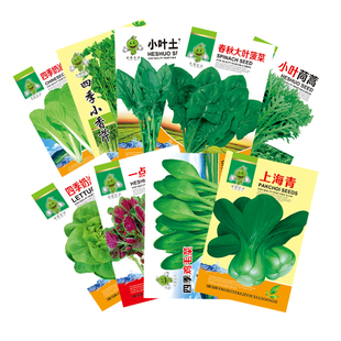 四季蔬菜种子黄秋葵红秋葵香菜青菜阳台盆栽种植生菜丝瓜甘蓝水果