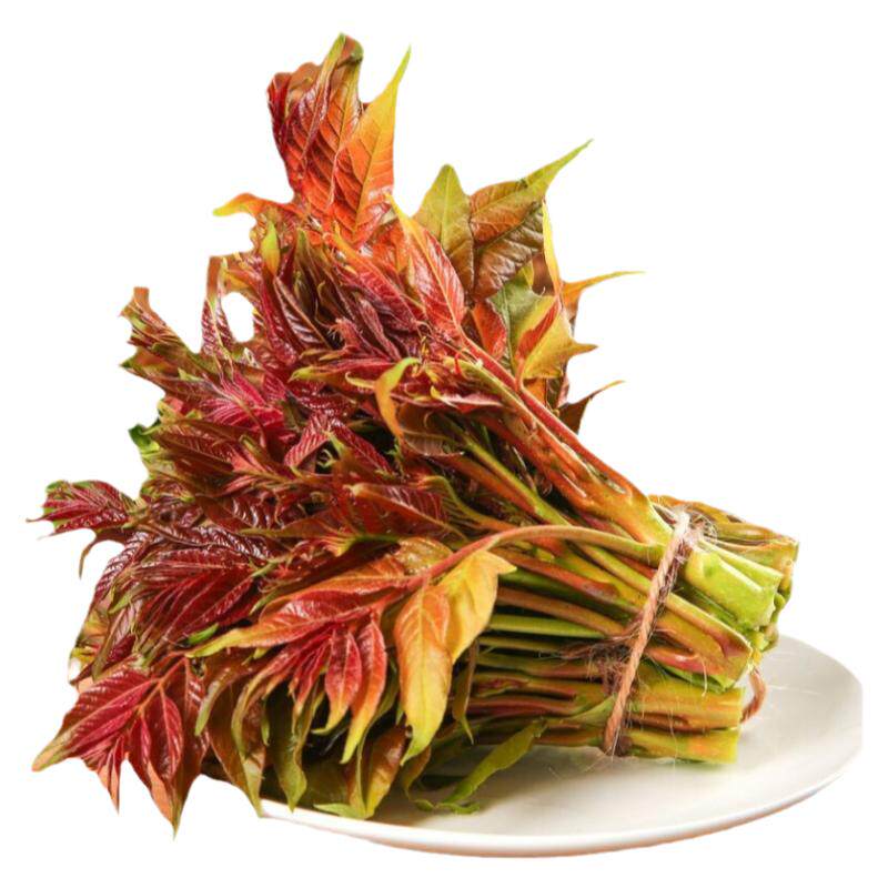 香椿芽野生红油3斤新鲜嫩叶现摘露天下锅菜腌菜嫩芽冷链包邮蔬菜