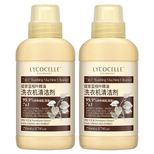 绽家蓝桉叶精油洗衣机清洗剂除垢杀菌除霉留香清洗污渍神器250ml