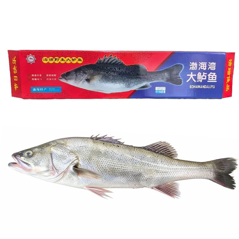 深海七星野生特大鲈鱼新鲜冷冻10斤鲜活冰鲜官方旗舰店礼盒装海鲜