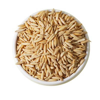 小农山乳玉燕麦籽白玉麦草籽鹦鹉训练奖励零食虎皮玄凤专用鸟粮