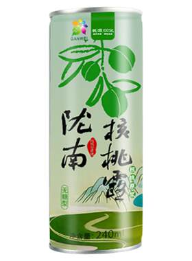 桃源核桃露240ml*20礼盒陇南特产