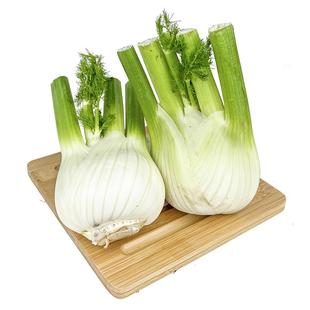 新鲜茴香头约1斤 茴香根茴香球茎 西餐料理香料蔬菜食材 5件包邮