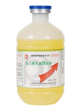 复合维生素b溶液皮肤病猫癣消化
