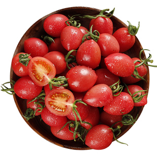 圣女果小番茄西红柿子新鲜蔬菜水果生吃5斤现摘现发靓贝