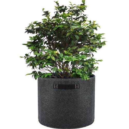 大号款种植袋15加仑阳台种菜盆家庭园艺入门款加厚盆栽种树大花盆