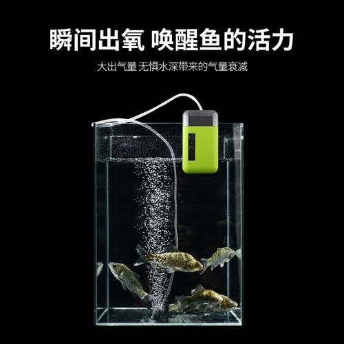 自动抽水取水机小型吸水泵氧气器氧户外泵钓鱼增专用多功能泵充氧
