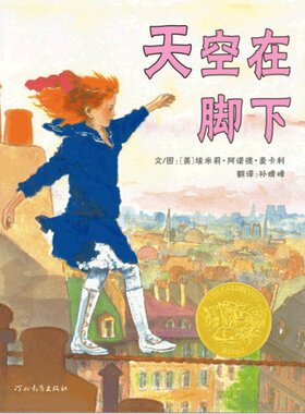 正版精装 天空在脚下 凯迪克金奖幼儿童宝宝启蒙认知早教 0-3-6-7-9周岁少幼儿童亲子共读情商励志绘本故事图书一个秘密四年级