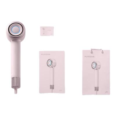 飞科高速电吹风家用负离子护发速干大风力速干电吹风机风筒正品