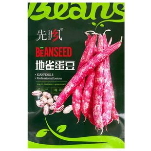 地雀蛋豆种子无筋红金钩籽面豆角早熟春季菜种孑禾之元蔬菜种子