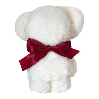 毛巾小熊伴手礼护士节儿童节礼物