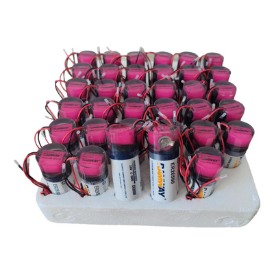 睿奕ER26500+RHC1520智能水表燃气表流量计2号环氧防水3.6V锂电池