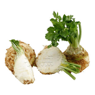 地中海根芹种子四季根芹菜种籽根洋茎籽种土芹根洋芹球根塘蒿种子