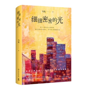 【官方正版】细细密密的光 马曳2022年现实主义长篇情感小说力作 桐华 胡少卿 黄佟佟 周宏翔诚挚推荐 影视原作博集天卷